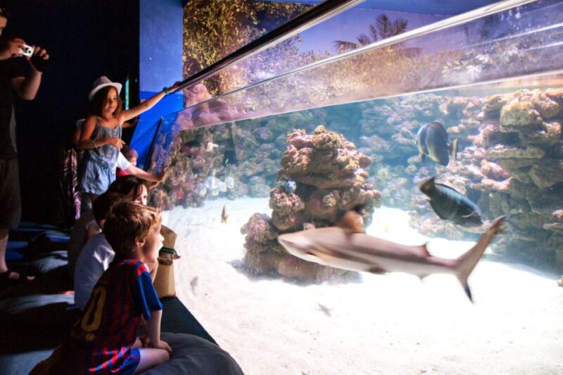 Mallorca: Palma Aquarium Tickets With Transfer - Itinerary Details