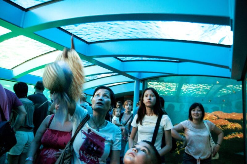 Mallorca: Palma Aquarium Tickets With Transfer - Included in Tour