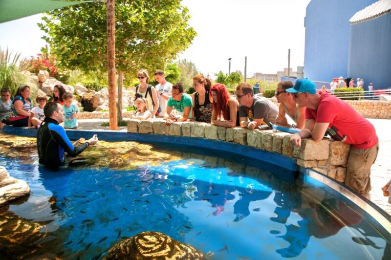 Mallorca: Palma Aquarium Tickets With Transfer - Customer Ratings