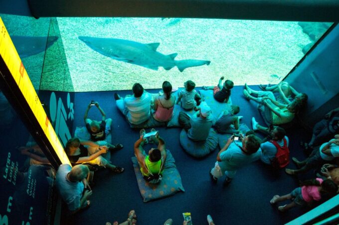 Mallorca: Palma Aquarium Tickets With Transfer - Transportation Information
