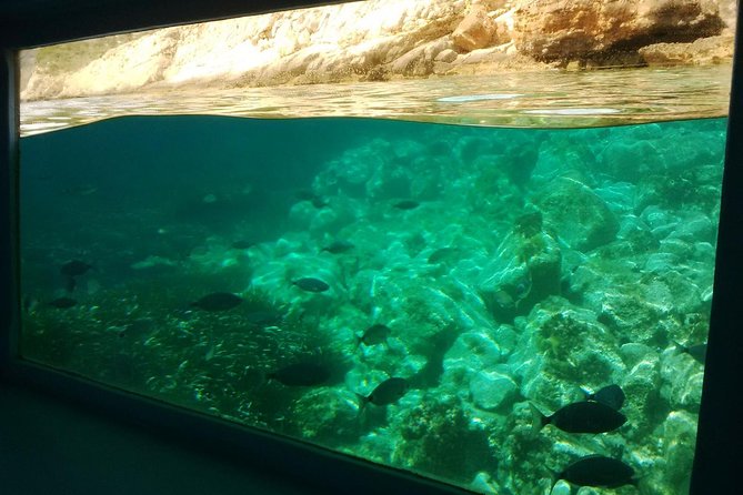 Mallorca Paradise Boat Trip and Puerto De Andratx - Underwater Viewing Experience