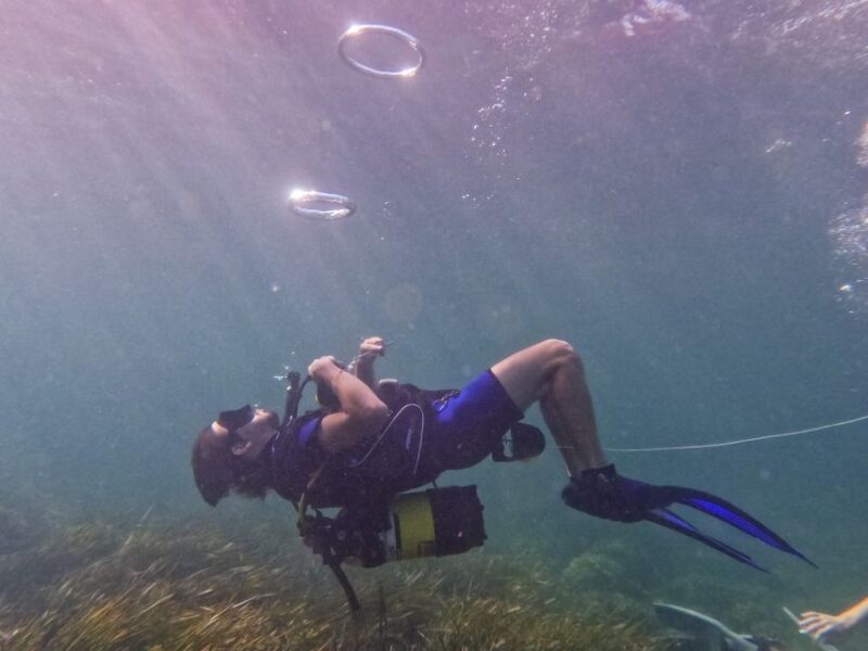 Mallorca: Private Beginner Scuba Dive With Photos and Video - Key Points