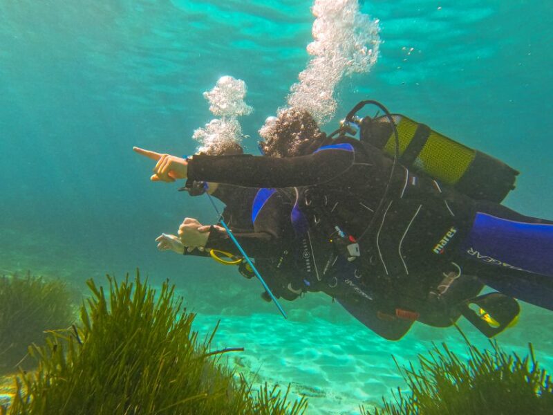 Mallorca: Private Beginner Scuba Dive With Photos and Video - Instructor Expertise