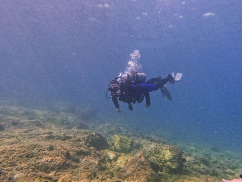 Mallorca: Private Beginner Scuba Dive With Photos and Video - Dive Requirements