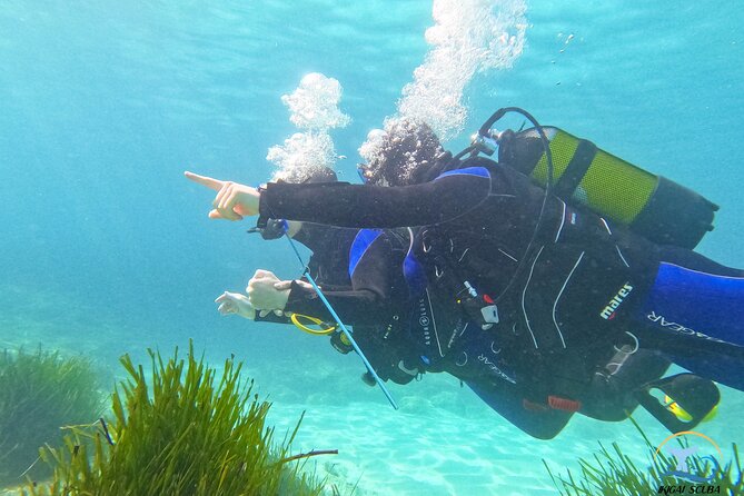 Mallorca PRIVATE Scuba Dive + Photo/Video - Good To Know