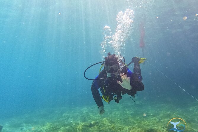 Mallorca PRIVATE Scuba Dive + Photo/Video - Meeting and Transportation