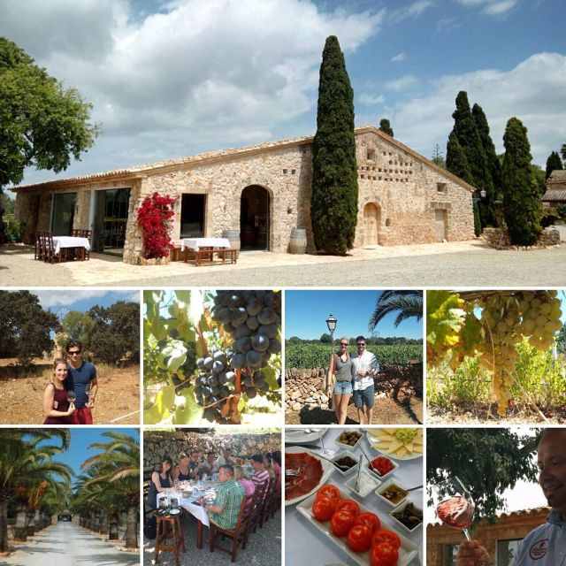 Mallorca: Private Wine Tour With Tasting and Picnic - Pick-up and Drop-off