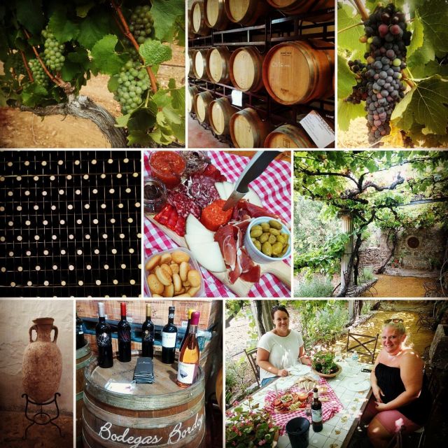 Mallorca: Private Wine Tour With Tasting and Picnic - Tastings and Pairings
