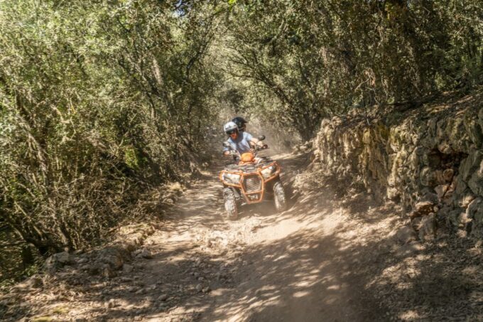 Mallorca: Quad Bike Tour With Snorkeling and Cliff Jumping - Age and License Requirements