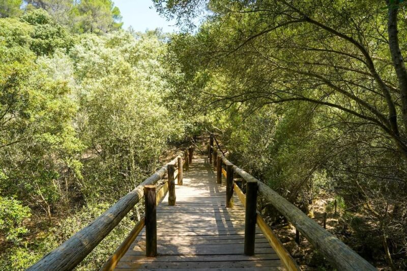 Mallorca : Reserva Park Entry Ticket With Nature & Animals - Family-Friendly Nature Experiences