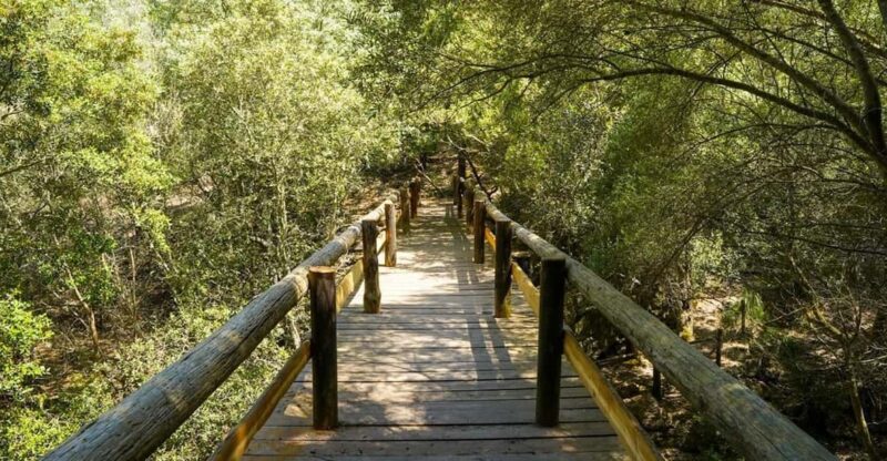 Mallorca : Reserva Park Entry Ticket With Nature & Animals - Zipline Adventures and Acrobatics