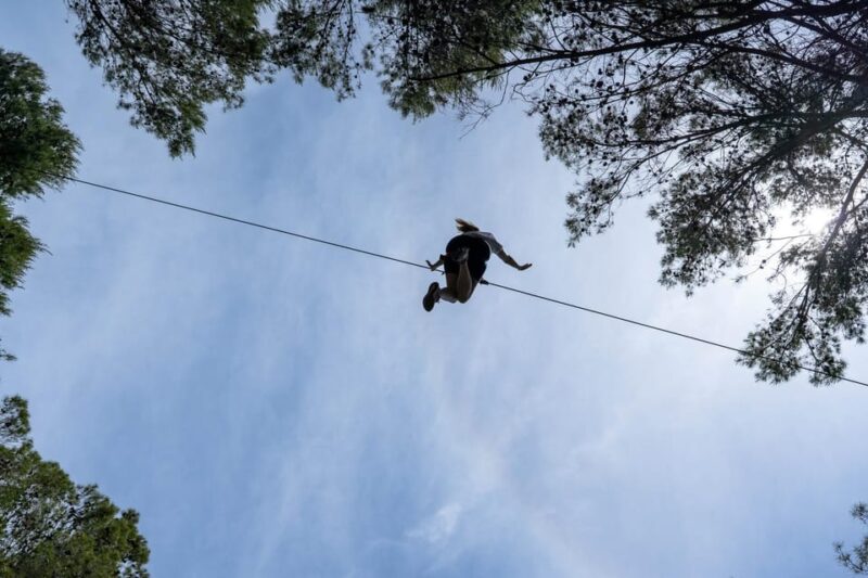 Mallorca : Reserva Park Entry Ticket With Nature & Animals - Tranquil Environment and Animal Encounters