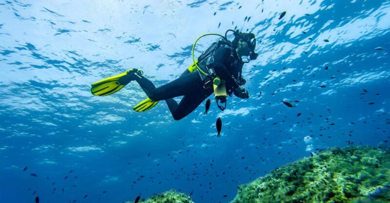 Mallorca: Scuba Diving - a Dive From the Boat (For Certified Divers) - Key Points