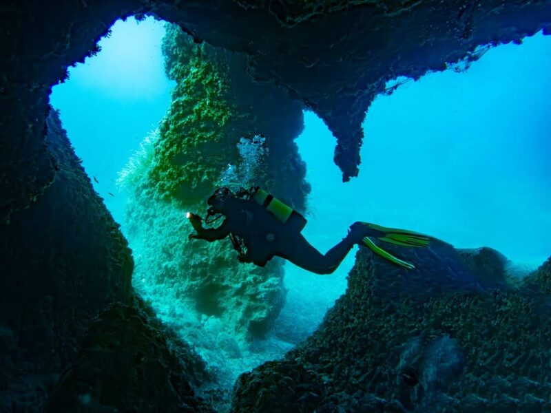 Mallorca: Scuba Diving - a Dive From the Boat (For Certified Divers) - Itinerary and Experience