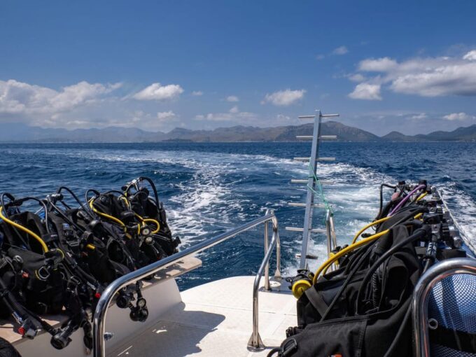 Mallorca: Scuba Diving - a Dive From the Boat (For Certified Divers) - Preparing for Your Scuba Adventure