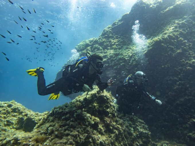 Mallorca: Scuba Diving - a Dive From the Boat (For Certified Divers) - Ensuring a Safe and Enjoyable Dive