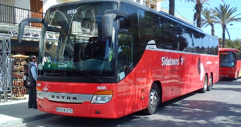 Mallorca: Shared One-Way Transfer to Palma Airport - Vehicle and Driver Information