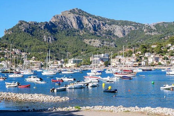 Mallorca Shore Excursion: Exclusive Soller and Valldemosa - Highlights of Soller