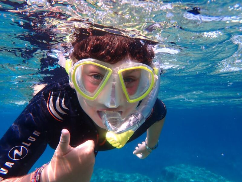 Mallorca: Snorkeling in a Beautiful Nature Reserve - Experience Highlights