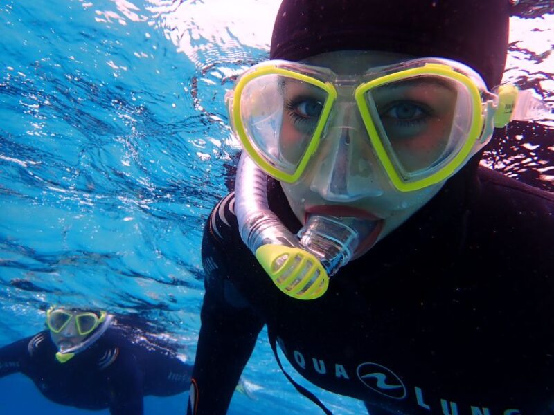 Mallorca: Snorkeling in a Beautiful Nature Reserve - Tour Details