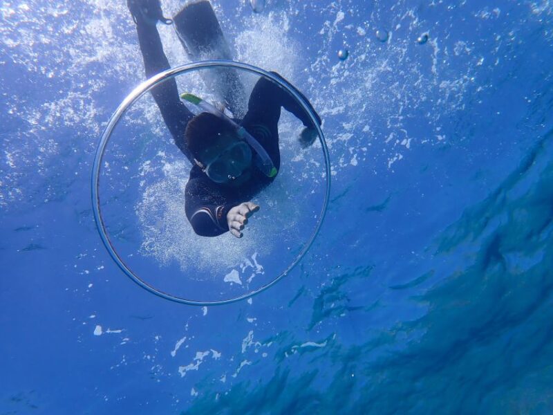 Mallorca: Snorkeling in a Beautiful Nature Reserve - Safety and Requirements
