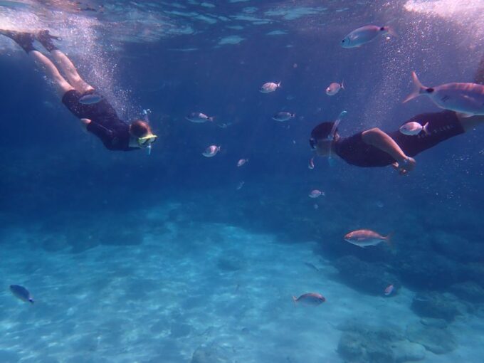 Mallorca: Snorkeling in a Beautiful Nature Reserve - Discovering Mallorcas Underwater Wonders