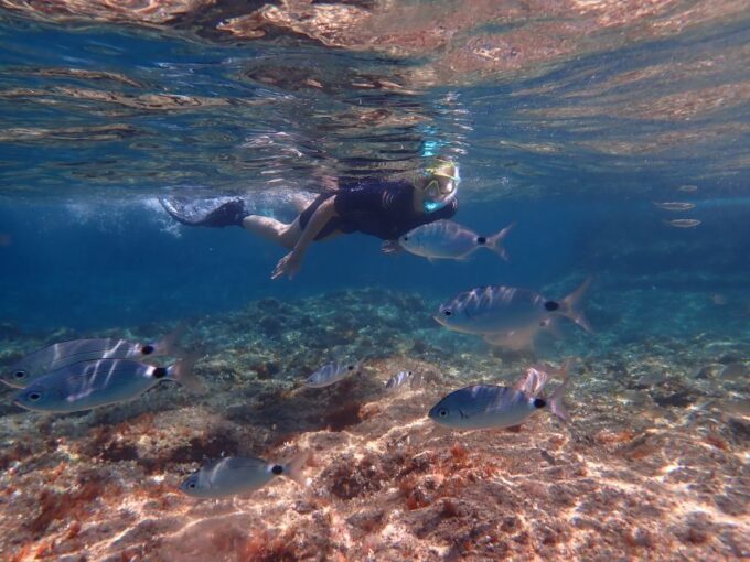 Mallorca: Snorkeling in a Beautiful Nature Reserve - Booking and Cancellation Policy