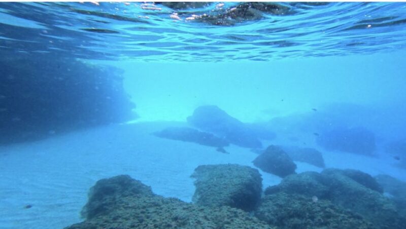 Mallorca Stand up Paddle Tour to Cueva Verde With Snorkeling - Meeting Point and What to Bring