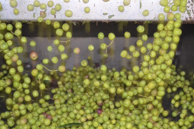 Mallorca: Street Market & Olive Mill Mini-Bus Tour With German Guide - Tour Duration and Type