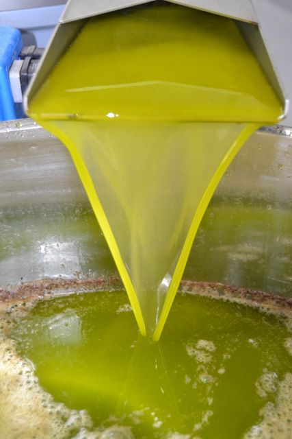Mallorca: Street Market & Olive Mill Mini-Bus Tour With German Guide - Itinerary: Street Market