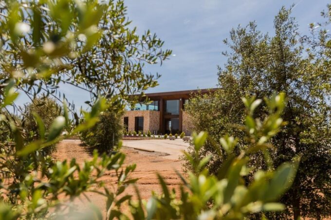 Mallorca: Street Market & Olive Mill Mini-Bus Tour With German Guide - Tour Inclusions
