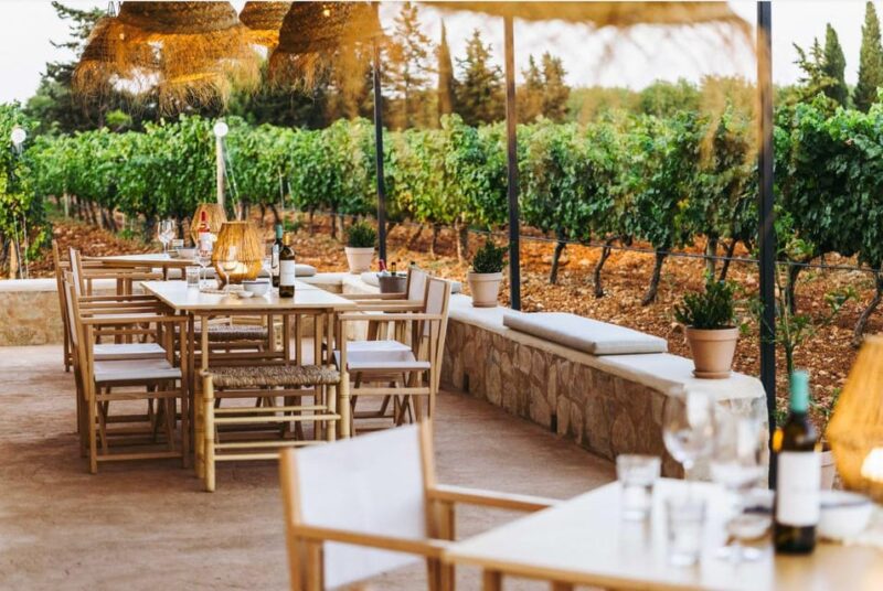 Mallorca: Sunset Wine Tasting Minibus Tour - ENGLISH GUIDE - Important Information
