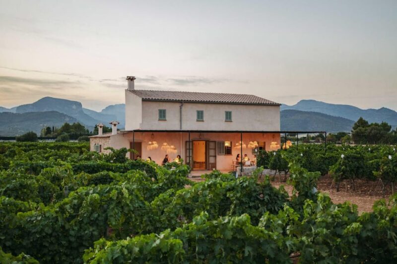 Mallorca: Sunset Wine Tasting Minibus Tour - GERMAN GUIDE - Key Points