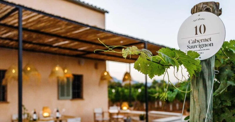 Mallorca: Sunset Wine Tasting Minibus Tour - GERMAN GUIDE - Pickup Locations
