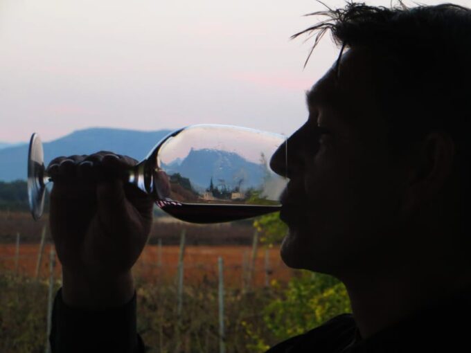 Mallorca: Sunset Wine Tasting Minibus Tour - GERMAN GUIDE - Wine Tasting and Tapas