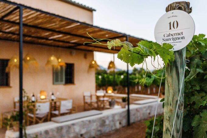 Mallorca: Sunset Wine Tasting Minibus Tour - GERMAN GUIDE - Scenic Drive to Bodega