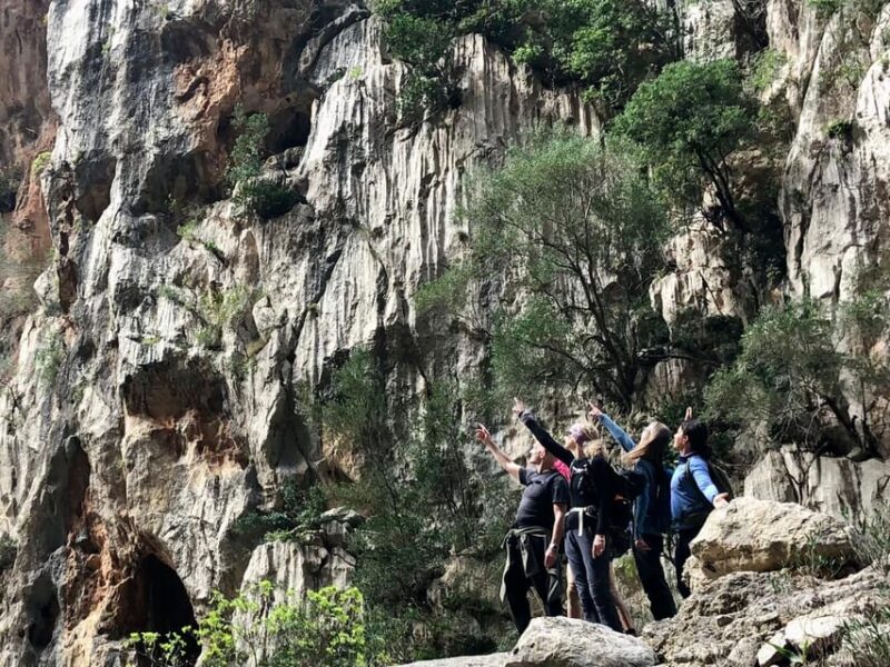 Mallorca: Torrent De Pareis Hiking Adventure - Customer Feedback
