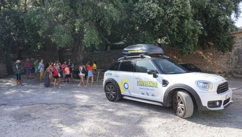 Mallorca: Tramuntana Mountains Tour With Local Guide & Lunch - Sóller Experiences