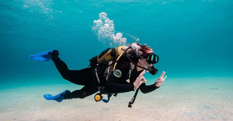 Mallorca: Try Scuba Diving by Boat - Key Points