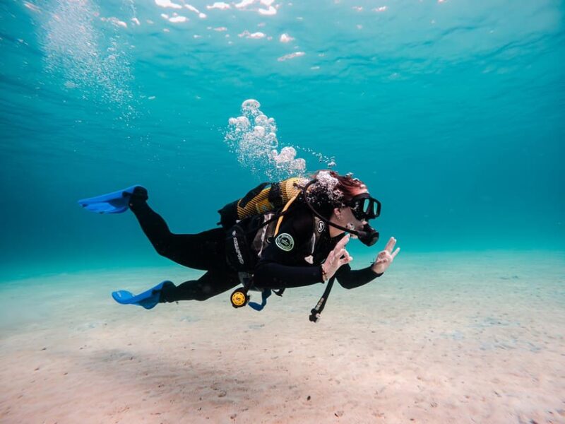 Mallorca: Try Scuba Diving by Boat - Pricing and Booking