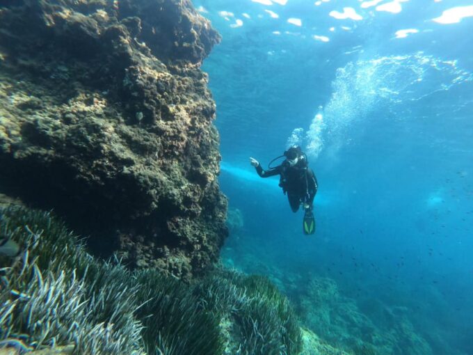 Mallorca: Try Scuba Diving by Boat - Frequently Asked Questions