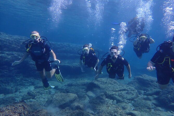 Mallorca: Try Scuba Diving in a Beautiful Nature Reserve - Exploring the Marine Reserve