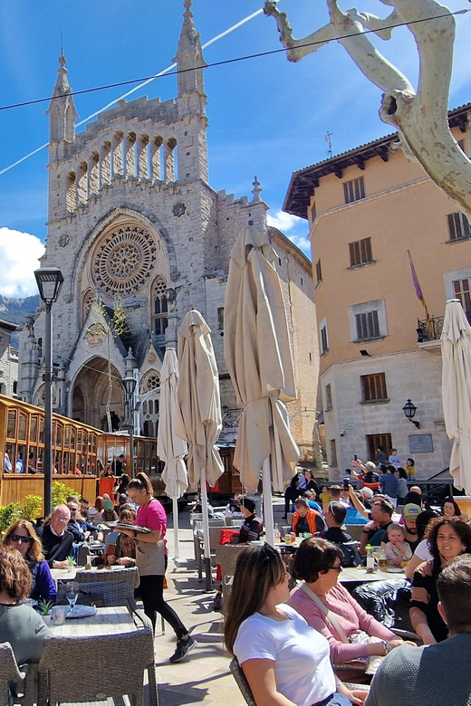 Mallorca: West Coast & Orange Valley Minibus Tour ENGLISH GUIDE - Country Manor House Visit