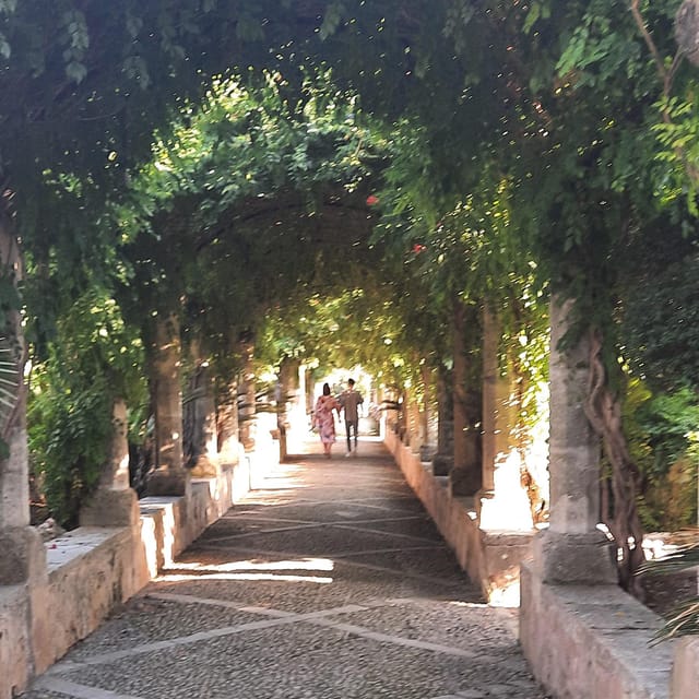 Mallorca: West Coast & Orange Valley Minibus Tour ENGLISH GUIDE - Tour Inclusions and Exclusions