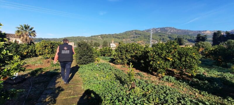 Mallorca: West Coast & Orange Valley Minibus Tour GERMAN GUIDE - Soller and Orange Valley
