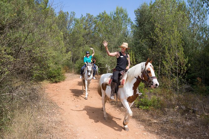 Mallorca Wine and Cheese Tasting - Accessibility Features