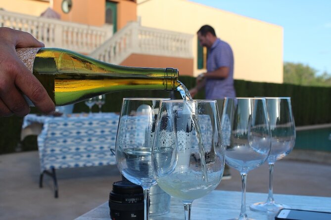 Mallorca Wine and Cheese Tasting - Booking Process