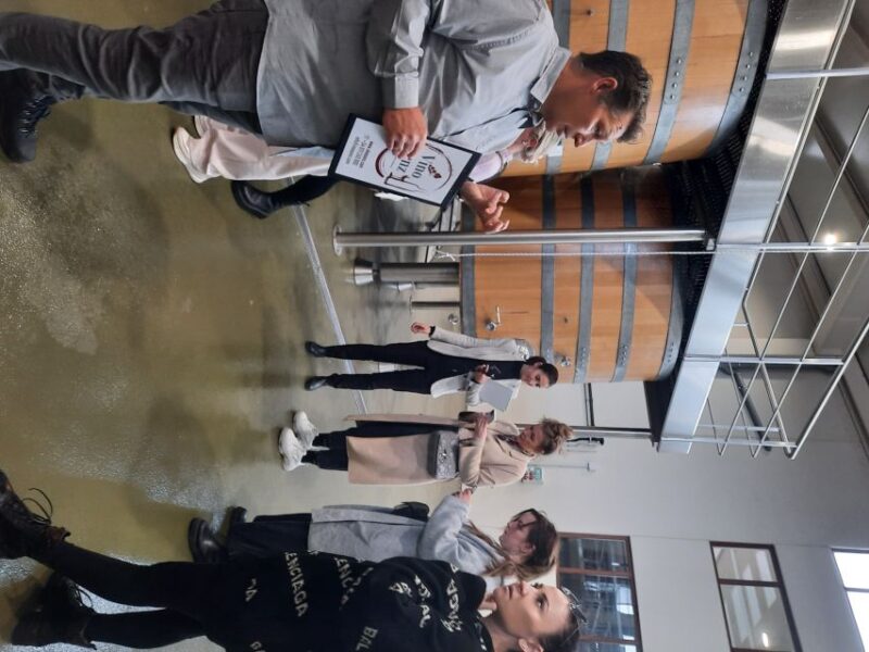 Mallorca: Wine Cellar Tour XL - 3 Wine Tastings Including GERMAN - Key Points
