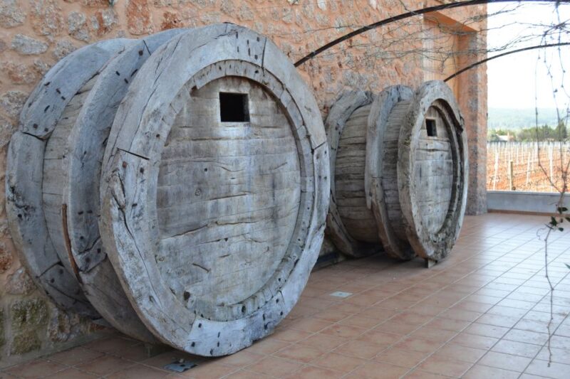 Mallorca: Wine Cellar Tour XL - 3 Wine Tastings Including GERMAN - Pickup and Drop-off Locations