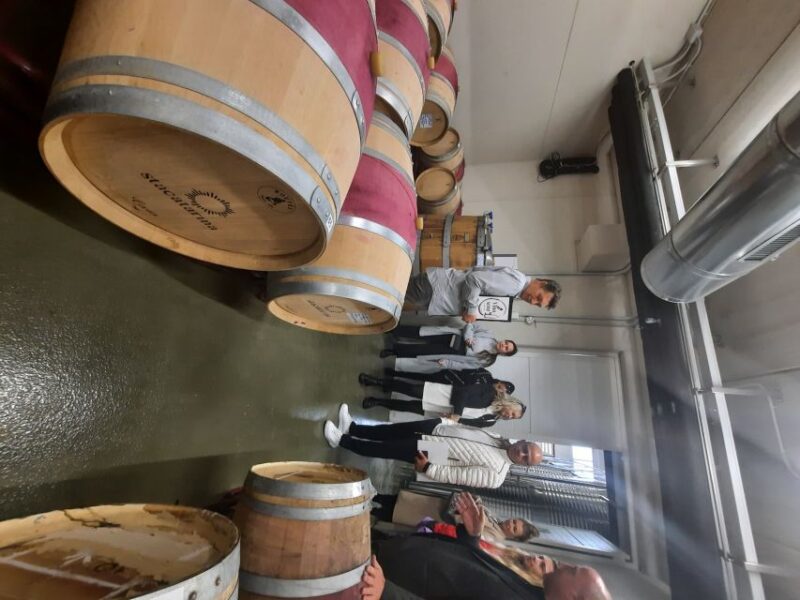 Mallorca: Wine Cellar Tour XL - 3 Wine Tastings Including GERMAN - Itinerary Highlights